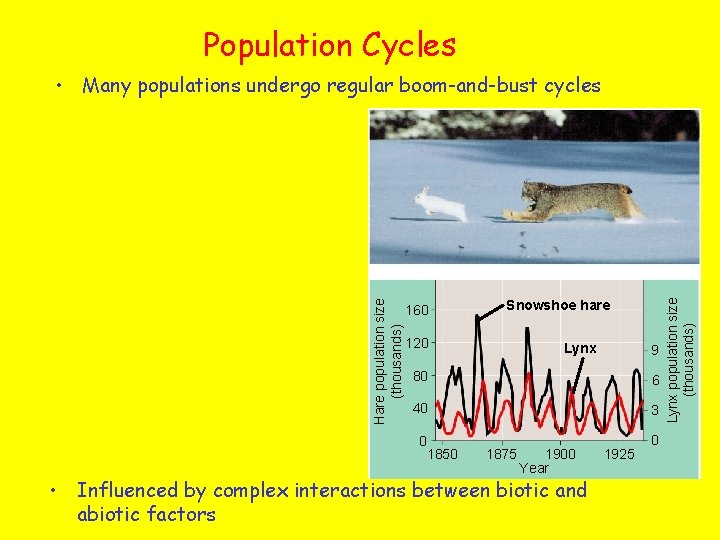 Population Cycles 160 Snowshoe hare 120 Lynx 9 80 6 40 3 0 1850