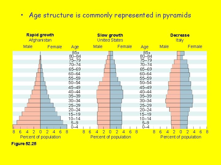  • Age structure is commonly represented in pyramids Rapid growth Afghanistan Male Female