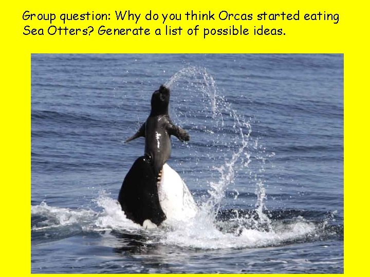 Group question: Why do you think Orcas started eating Sea Otters? Generate a list