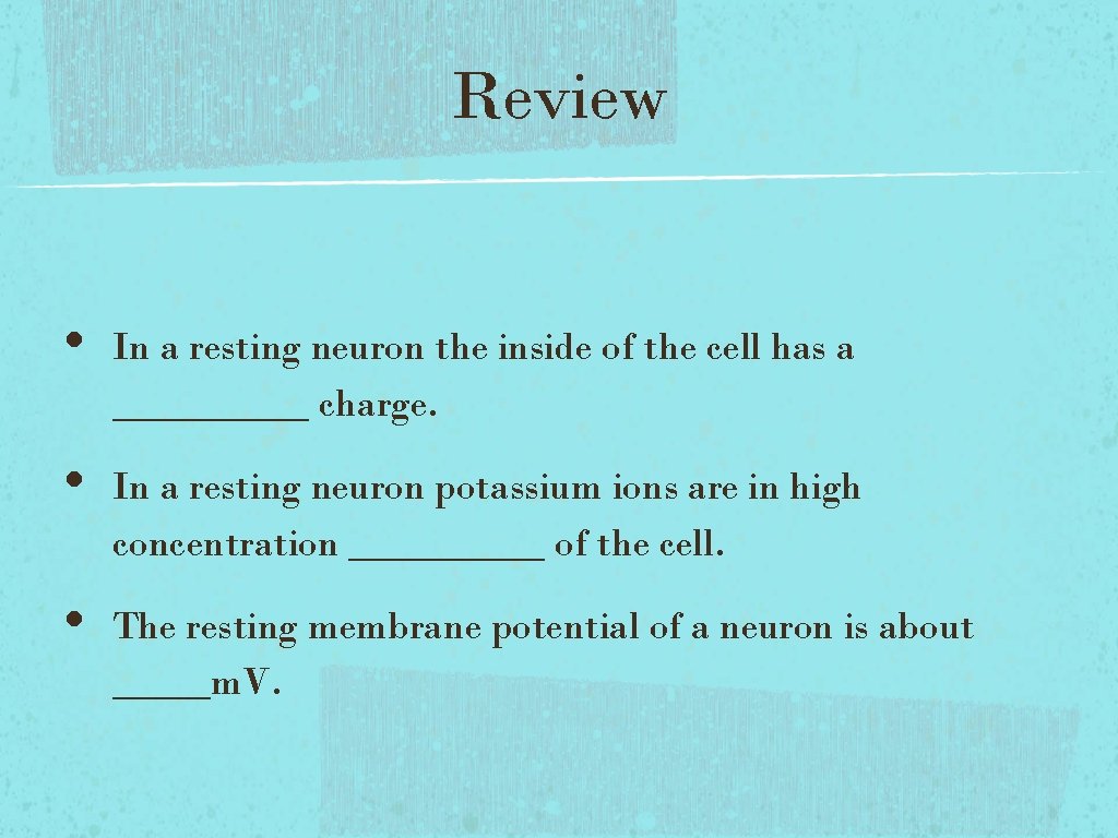 Review • • • In a resting neuron the inside of the cell has Review • • • In a resting neuron the inside of the cell has