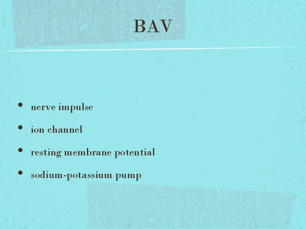 BAV • • nerve impulse ion channel resting membrane potential sodium-potassium pump BAV • • nerve impulse ion channel resting membrane potential sodium-potassium pump