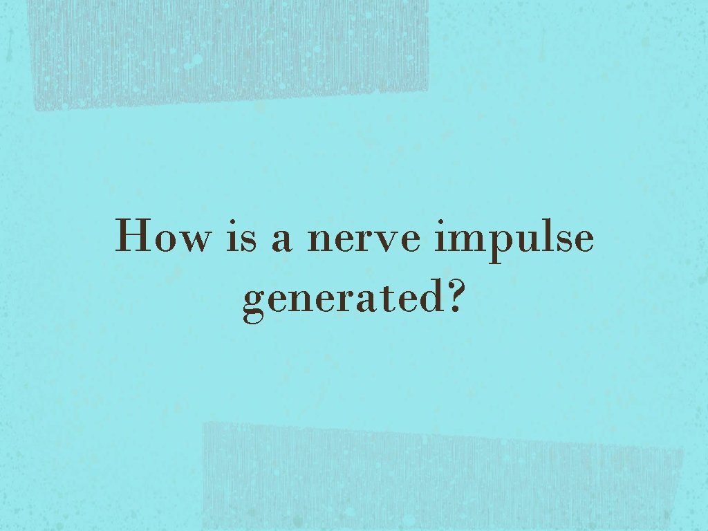 How is a nerve impulse generated? How is a nerve impulse generated?