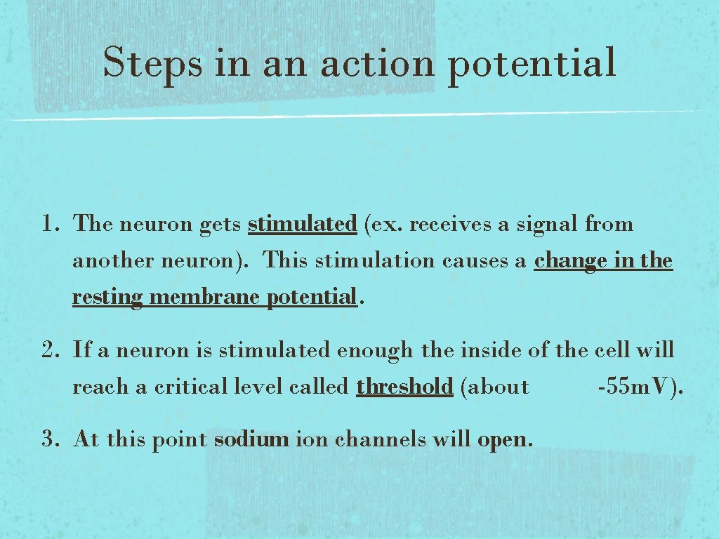 Steps in an action potential 1. The neuron gets stimulated (ex. receives a signal Steps in an action potential 1. The neuron gets stimulated (ex. receives a signal
