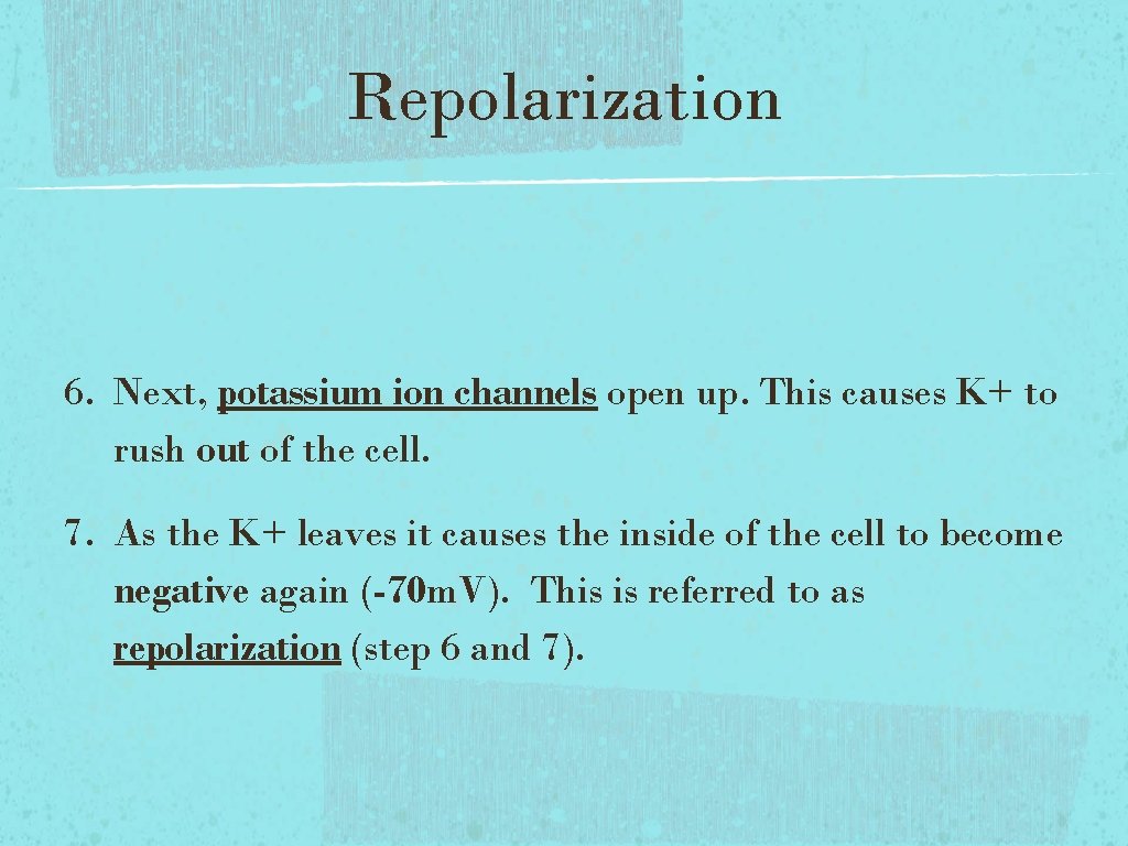 Repolarization 6. Next, potassium ion channels open up. This causes K+ to rush out Repolarization 6. Next, potassium ion channels open up. This causes K+ to rush out