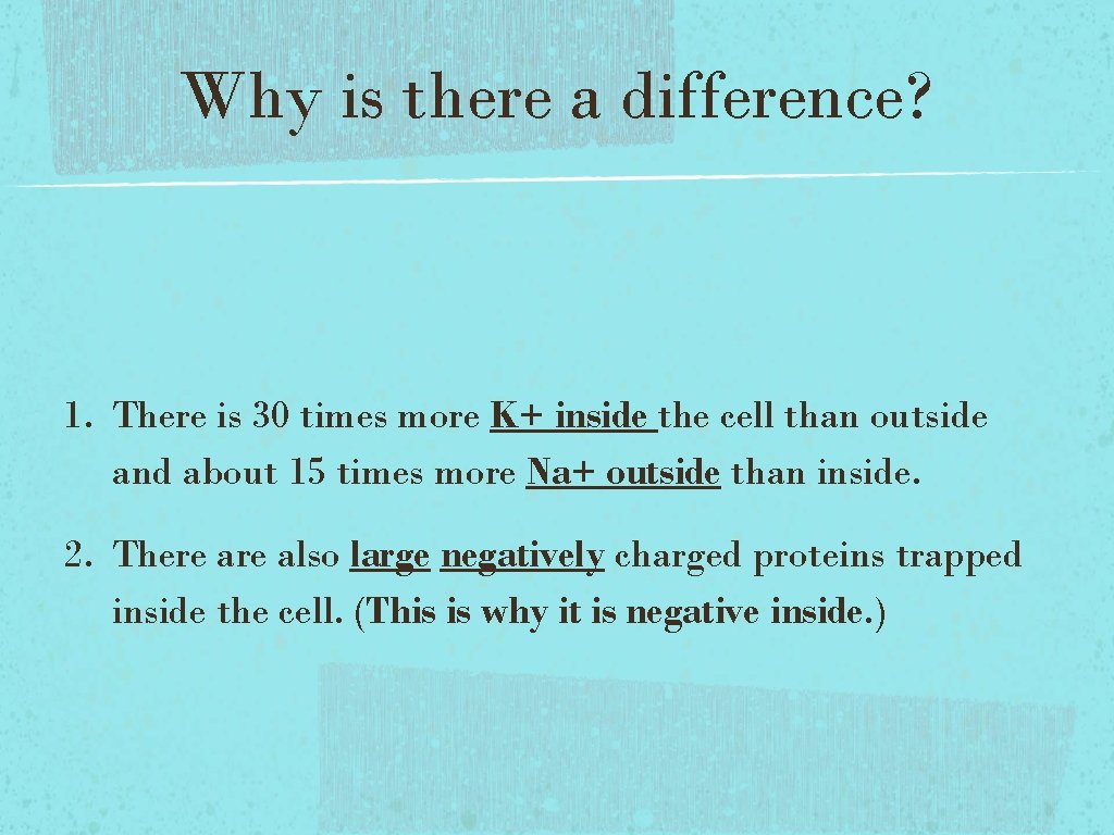 Why is there a difference? 1. There is 30 times more K+ inside the Why is there a difference? 1. There is 30 times more K+ inside the