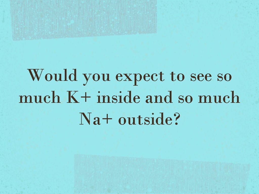 Would you expect to see so much K+ inside and so much Na+ outside? Would you expect to see so much K+ inside and so much Na+ outside?