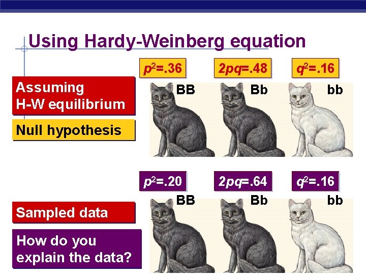 Using Hardy-Weinberg equation p 2=. 36 Assuming H-W equilibrium 2 pq=. 48 q 2=.