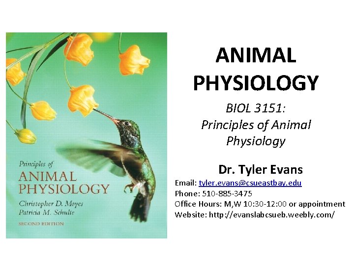 ANIMAL PHYSIOLOGY BIOL 3151: Principles of Animal Physiology Dr. Tyler Evans Email: tyler. evans@csueastbay.