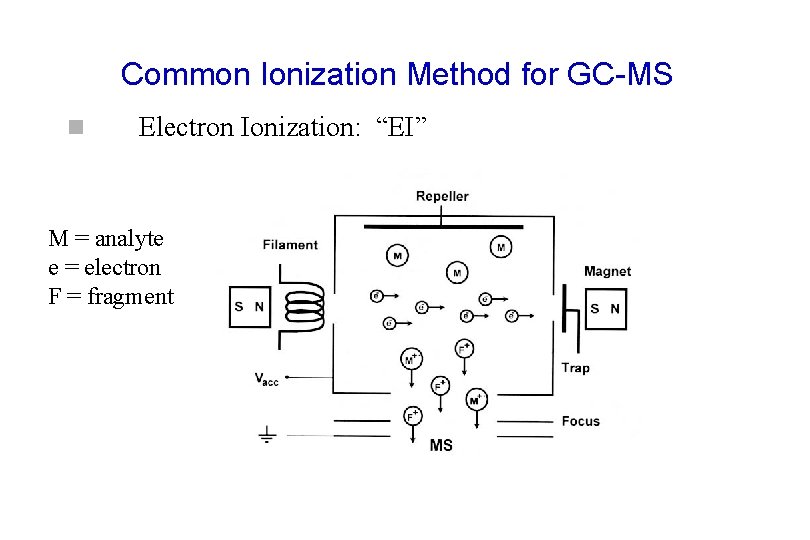 Common Ionization Method for GC-MS n Electron Ionization: “EI” M = analyte e =