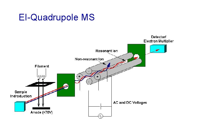 EI-Quadrupole MS 