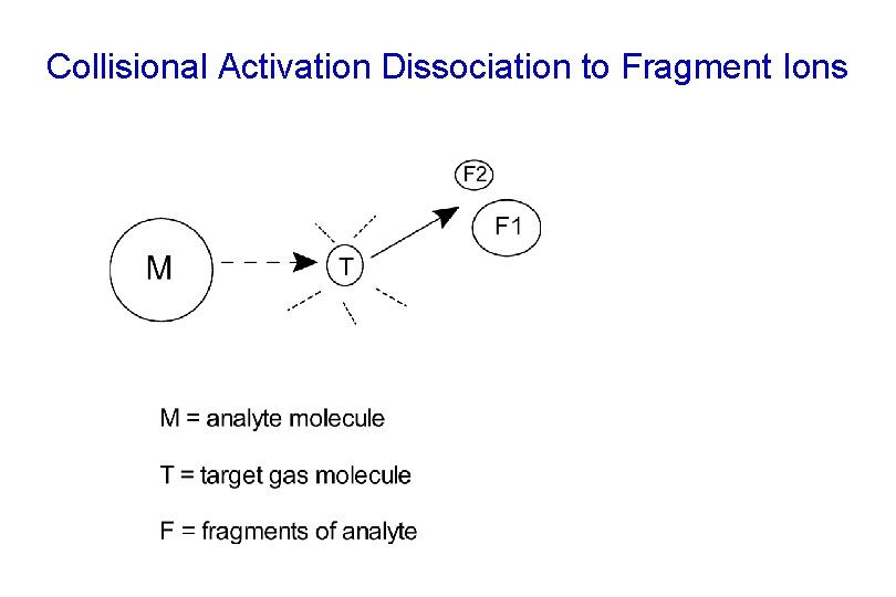 Collisional Activation Dissociation to Fragment Ions 