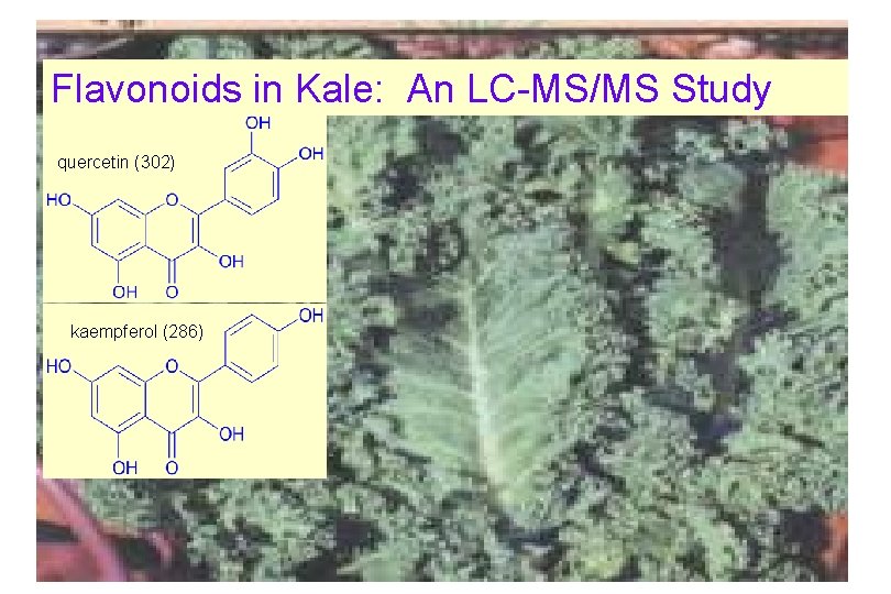 Flavonoids in Kale: An LC-MS/MS Study quercetin (302) kaempferol (286) 