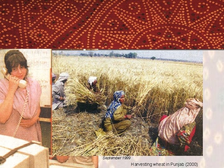 Karachi Stock Exchange workers. AFP, The Nation, September 1999 Harvesting wheat in Punjab (2000)