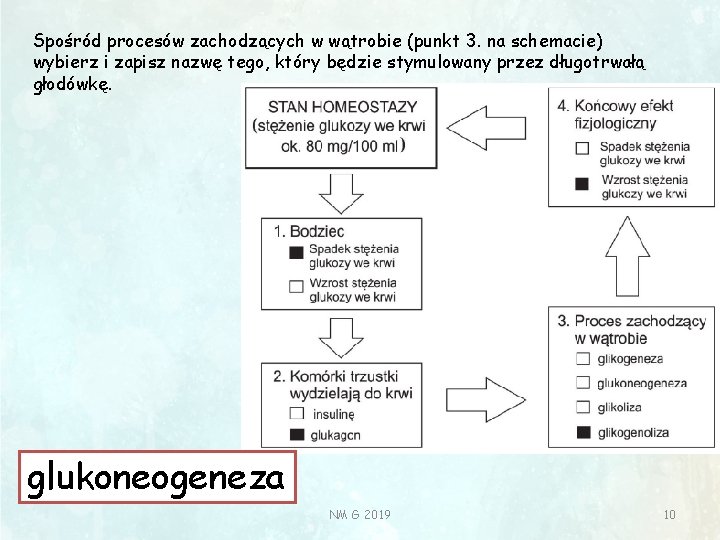Spośród procesów zachodzących w wątrobie (punkt 3. na schemacie) wybierz i zapisz nazwę tego,