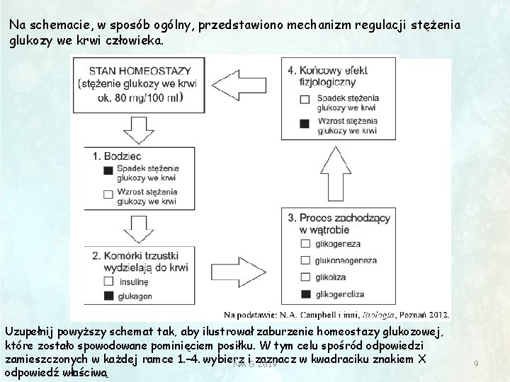Na schemacie, w sposób ogólny, przedstawiono mechanizm regulacji stężenia glukozy we krwi człowieka. Uzupełnij