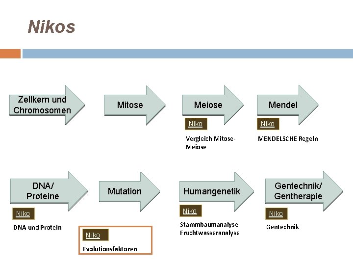 Nikos Zellkern und Chromosomen Mitose Meiose Niko Vergleich Mitose. Meiose DNA/ Proteine Mutation Niko