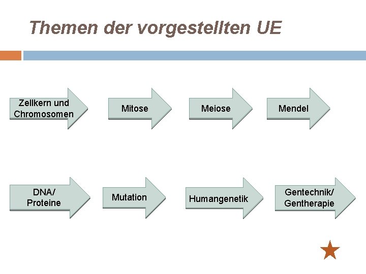 Themen der vorgestellten UE Zellkern und Chromosomen DNA/ Proteine Mitose Mutation Meiose Humangenetik Mendel