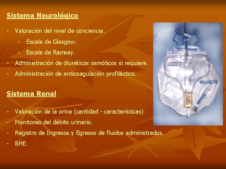 Sistema Neurológico - Valoración del nivel de conciencia. - Escala de Glasgow. - Escala