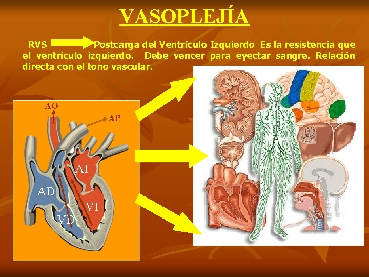 VASOPLEJÍA RVS Postcarga del Ventrículo Izquierdo Es la resistencia que el ventrículo izquierdo. Debe