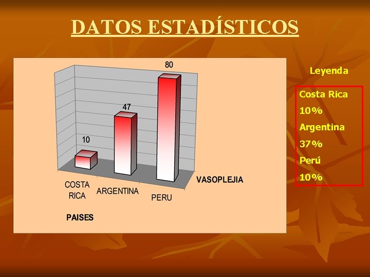 DATOS ESTADÍSTICOS Leyenda Costa Rica 10% Argentina 37% Perú 10% 