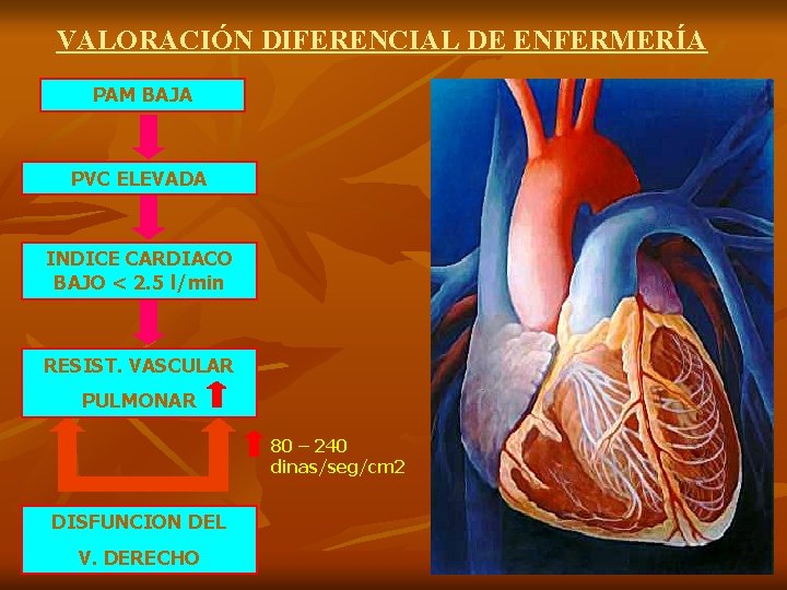 VALORACIÓN DIFERENCIAL DE ENFERMERÍA PAM BAJA PVC ELEVADA INDICE CARDIACO BAJO < 2. 5