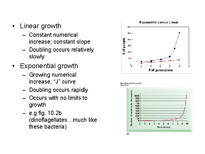 • Linear growth – Constant numerical increase; constant slope – Doubling occurs relatively • Linear growth – Constant numerical increase; constant slope – Doubling occurs relatively