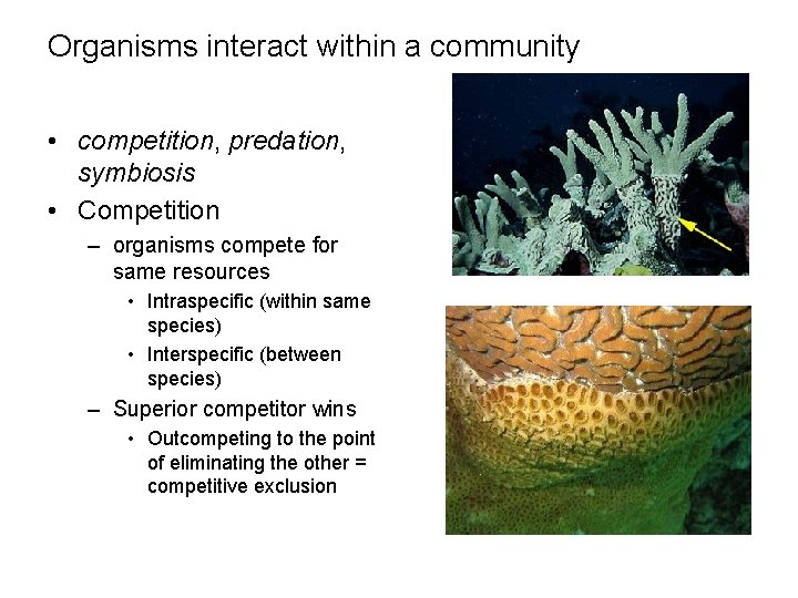 Organisms interact within a community • competition, predation, symbiosis • Competition – organisms compete Organisms interact within a community • competition, predation, symbiosis • Competition – organisms compete
