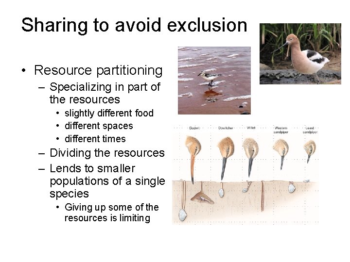 Sharing to avoid exclusion • Resource partitioning – Specializing in part of the resources Sharing to avoid exclusion • Resource partitioning – Specializing in part of the resources