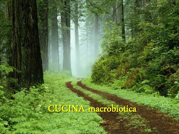 CUCINA macrobiotica 