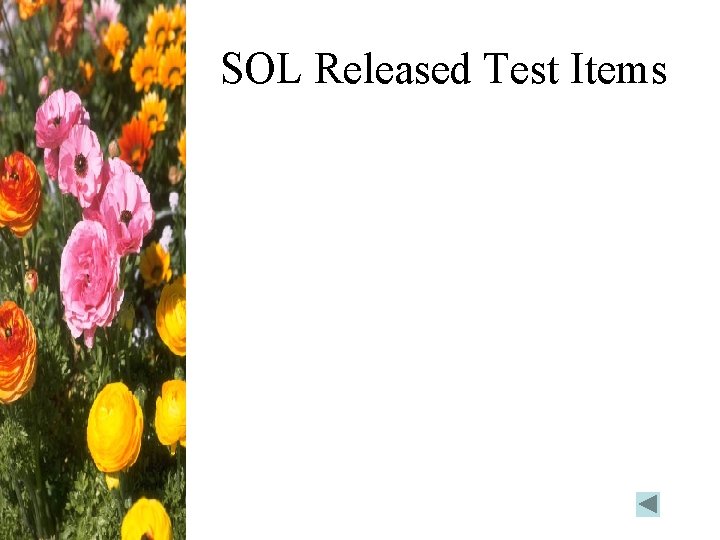 SOL Released Test Items 