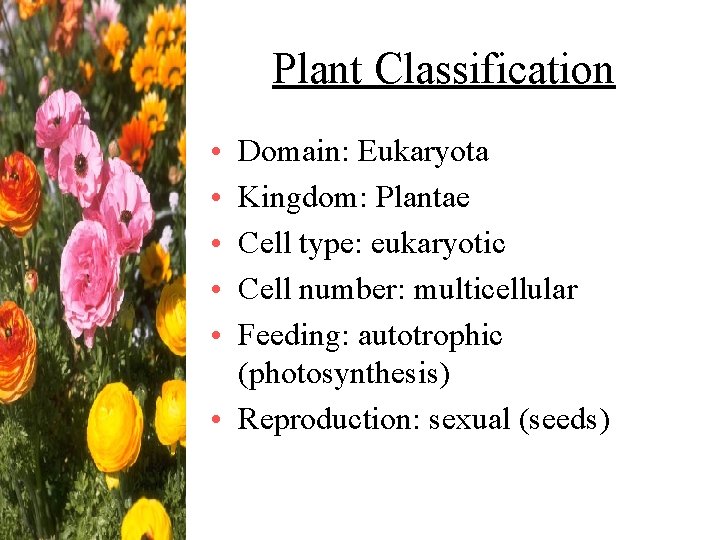 Plant Classification • • • Domain: Eukaryota Kingdom: Plantae Cell type: eukaryotic Cell number: