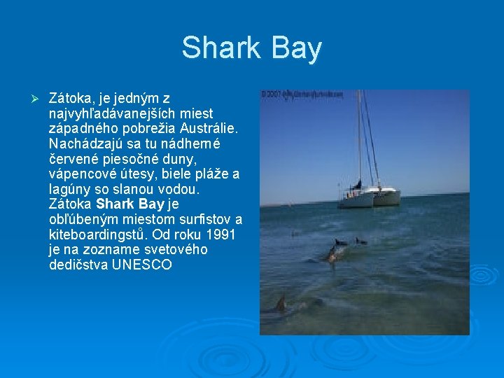 Shark Bay Ø Zátoka, je jedným z najvyhľadávanejších miest západného pobrežia Austrálie. Nachádzajú sa