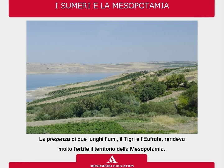 I SUMERI E LA MESOPOTAMIA La presenza di due lunghi fiumi, il Tigri e