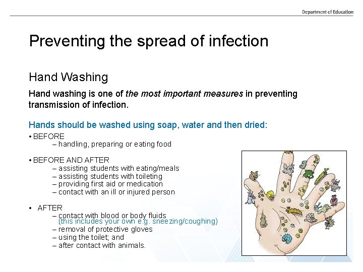 Preventing the spread of infection Hand Washing Hand washing is one of the most
