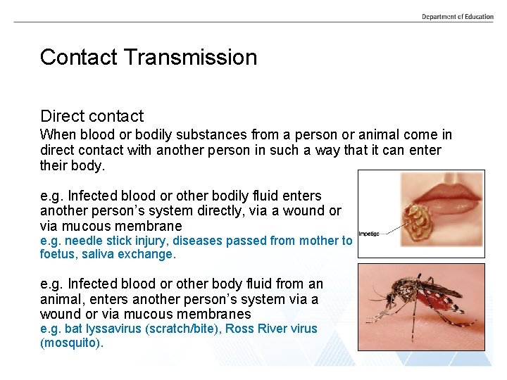 Contact Transmission Direct contact When blood or bodily substances from a person or animal