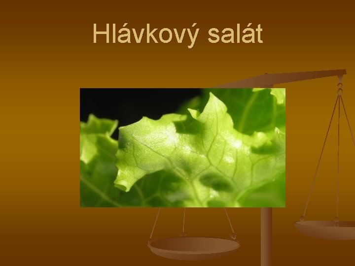 Hlávkový salát 