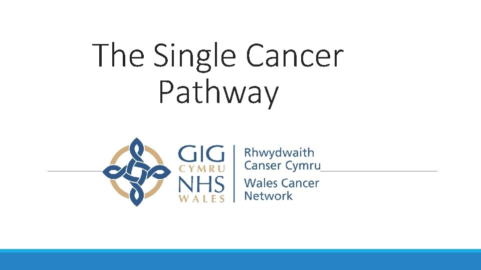 The Single Cancer Pathway 