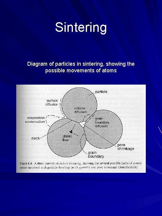 Sintering Diagram of particles in sintering, showing the possible movements of atoms 