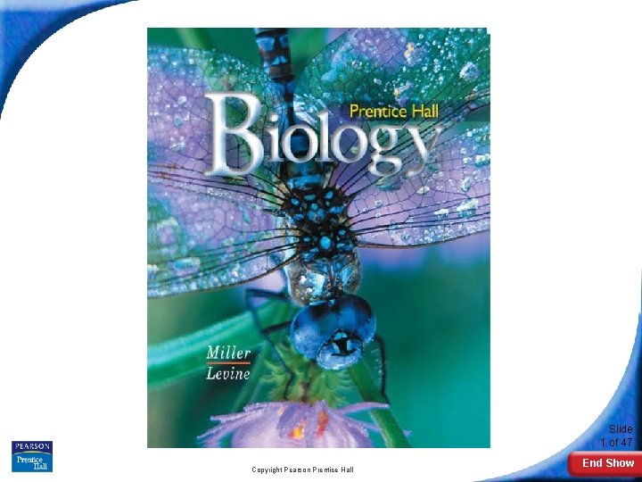 Biology Slide 1 of 47 Copyright Pearson Prentice Hall End Show 