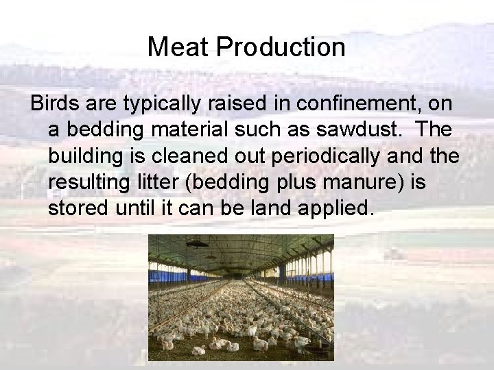 Meat Production Birds are typically raised in confinement, on a bedding material such as