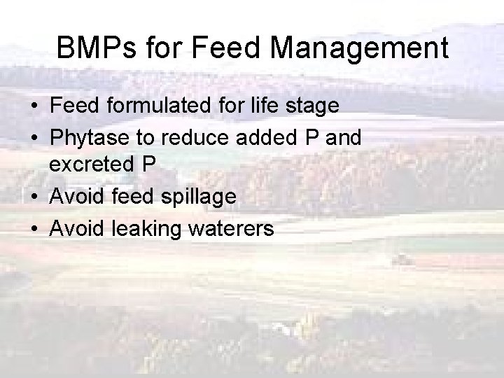 BMPs for Feed Management • Feed formulated for life stage • Phytase to reduce