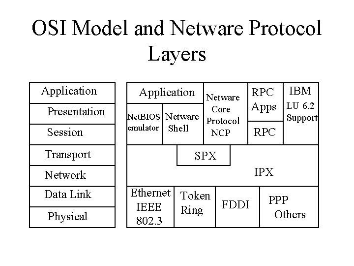 OSI Model and Netware Protocol Layers Application Presentation Session Transport Application Netware RPC IBM