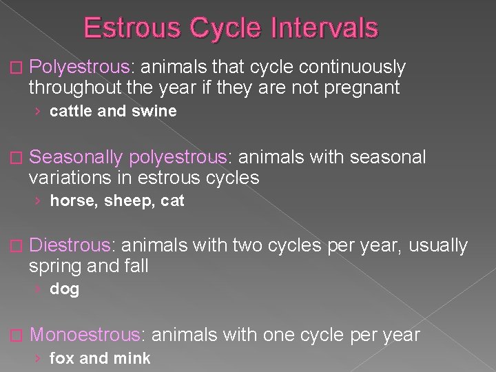 Estrous Cycle Intervals � Polyestrous: animals that cycle continuously throughout the year if they