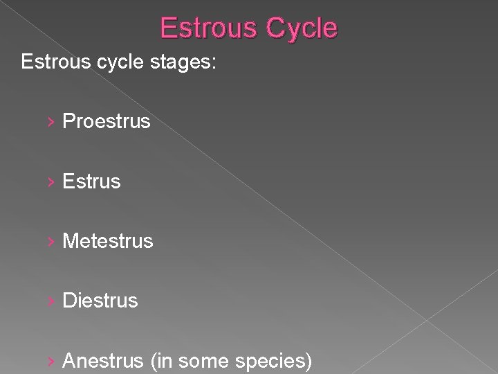 Estrous Cycle Estrous cycle stages: › Proestrus › Estrus › Metestrus › Diestrus ›