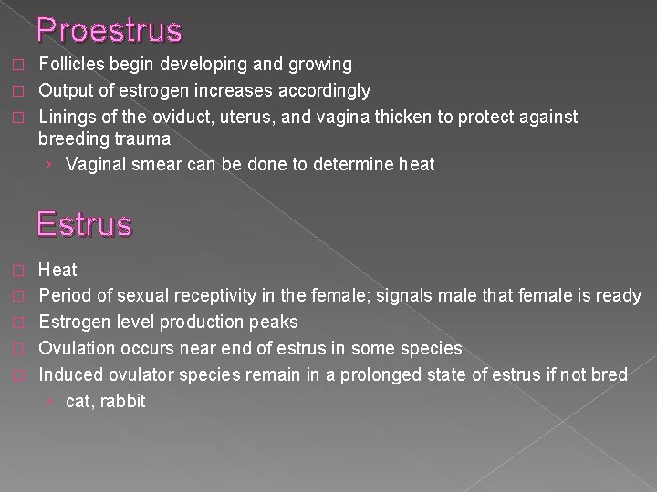 Proestrus Follicles begin developing and growing � Output of estrogen increases accordingly � Linings