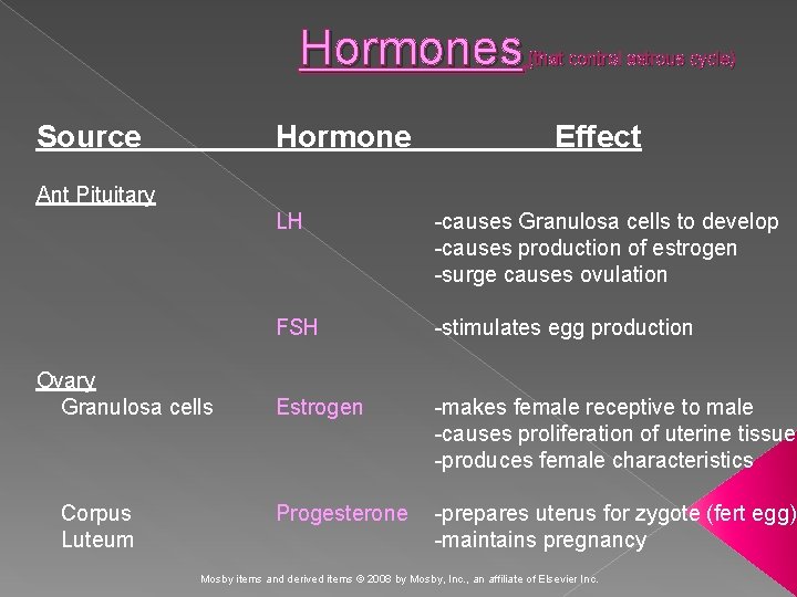 Hormones Source Hormone (that control estrous cycle) Effect Ant Pituitary Ovary Granulosa cells Corpus