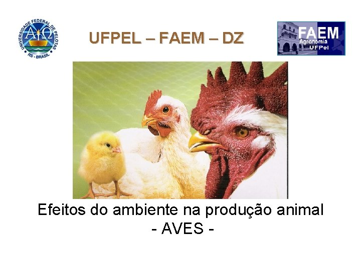 UFPEL – FAEM – DZ Efeitos do ambiente na produção animal - AVES -