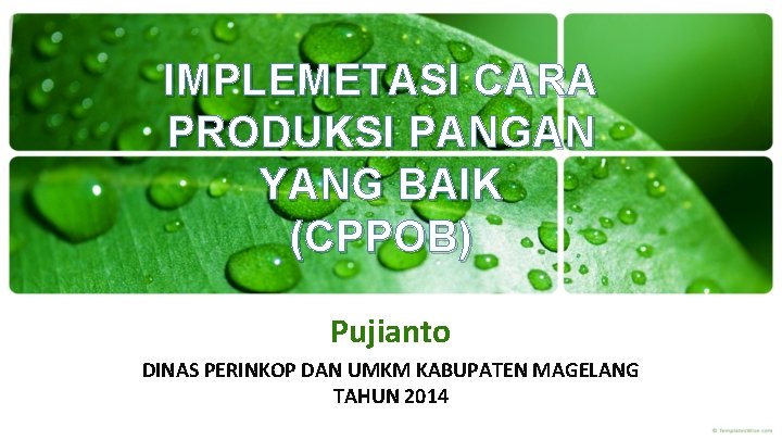 IMPLEMETASI CARA PRODUKSI PANGAN YANG BAIK (CPPOB) Pujianto DINAS PERINKOP DAN UMKM KABUPATEN MAGELANG