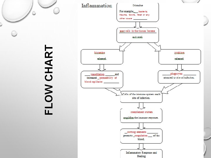 FLOW CHART 