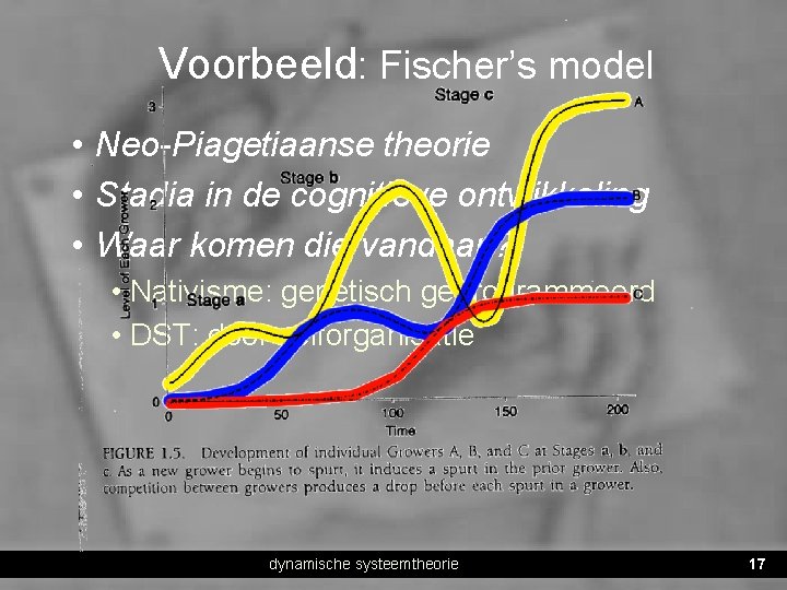 Voorbeeld: Fischer’s model • Neo-Piagetiaanse theorie • Stadia in de cognitieve ontwikkeling • Waar